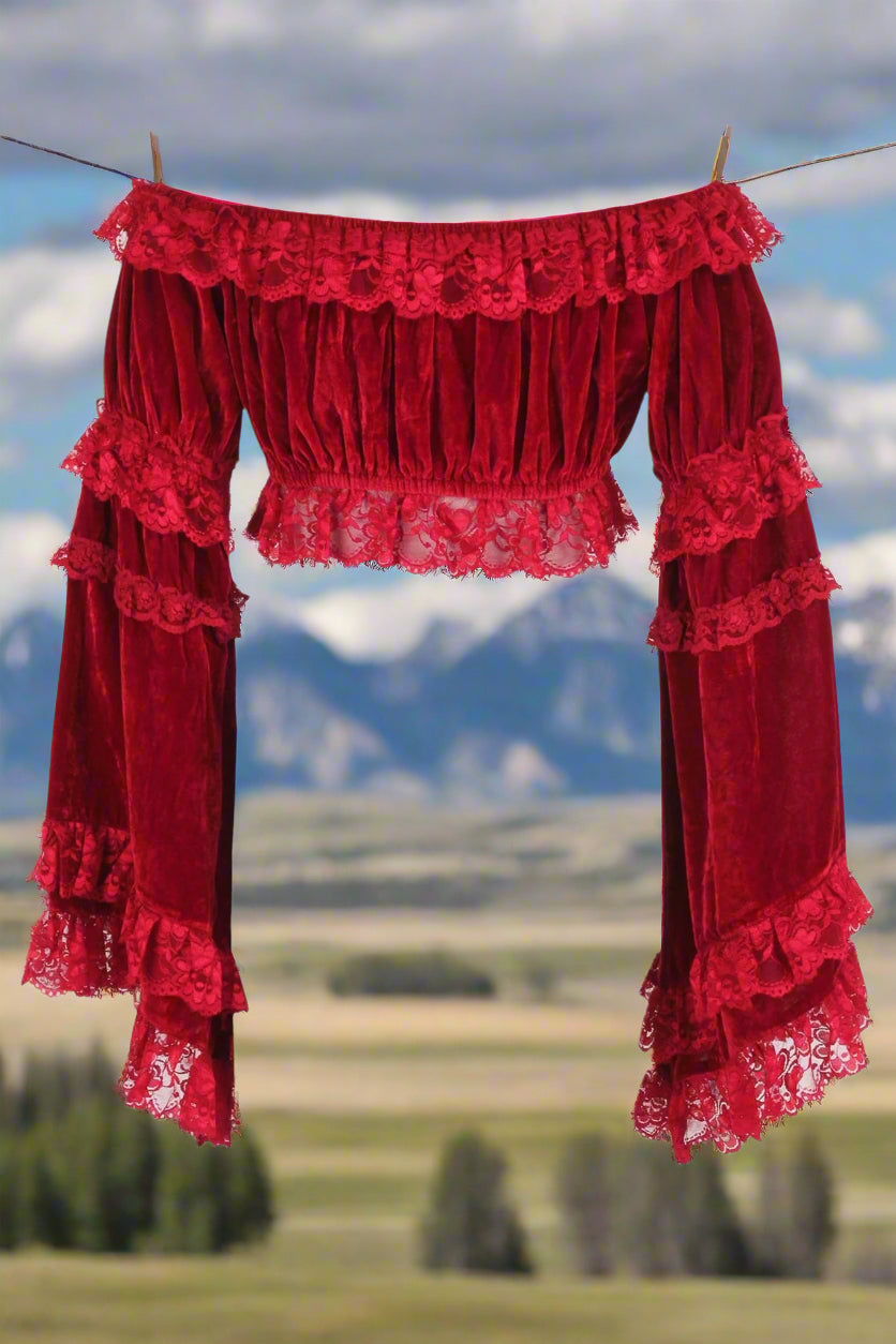 Dark Red Velvet Smocked Flare Sleeve Peasant Top