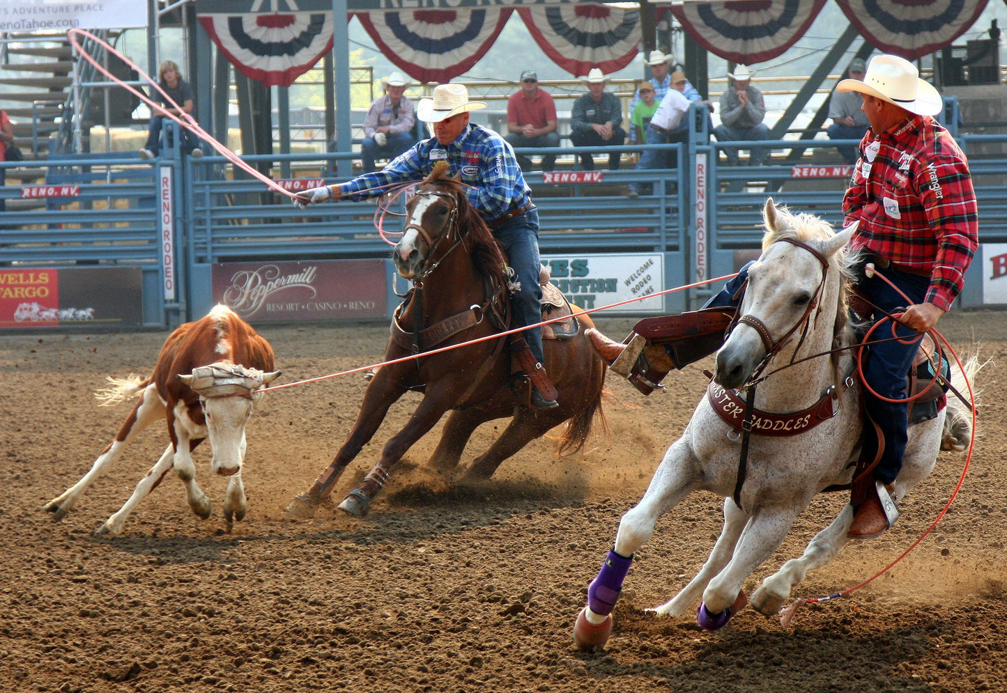 Team Roper Chap by Saddle Barn