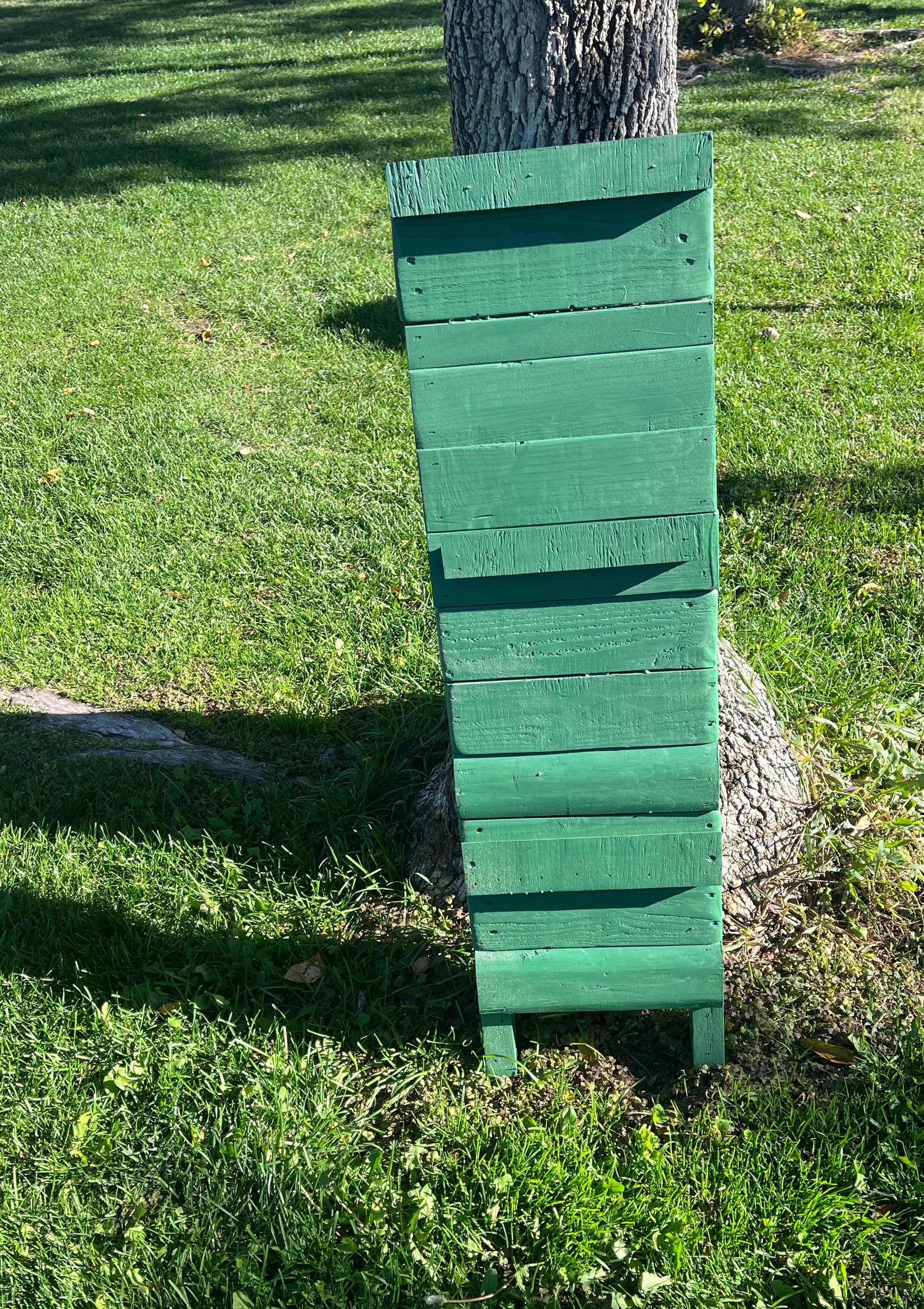 Vertical Garden Ladder