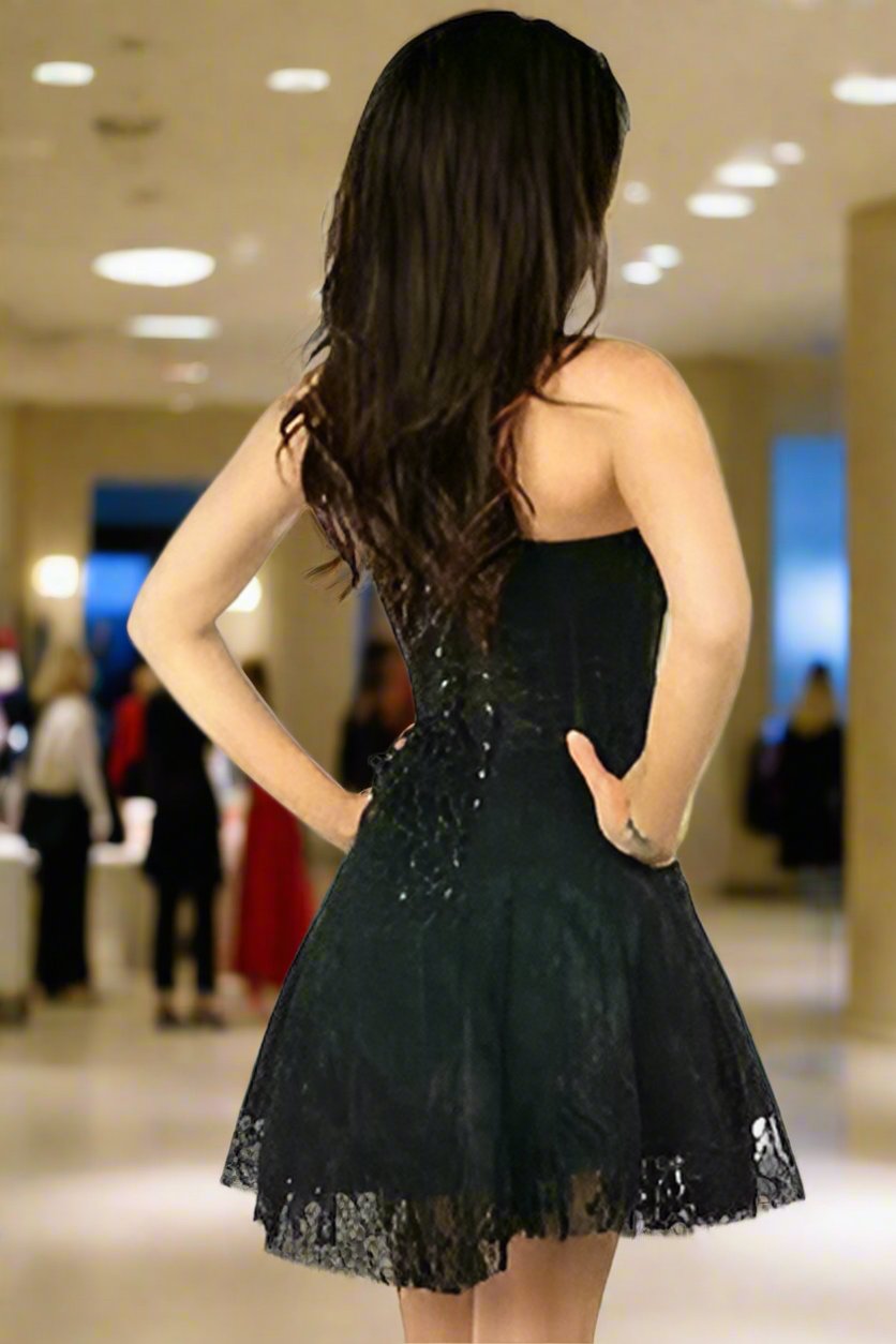 Lace Corset Dress in 5 Color Choices
